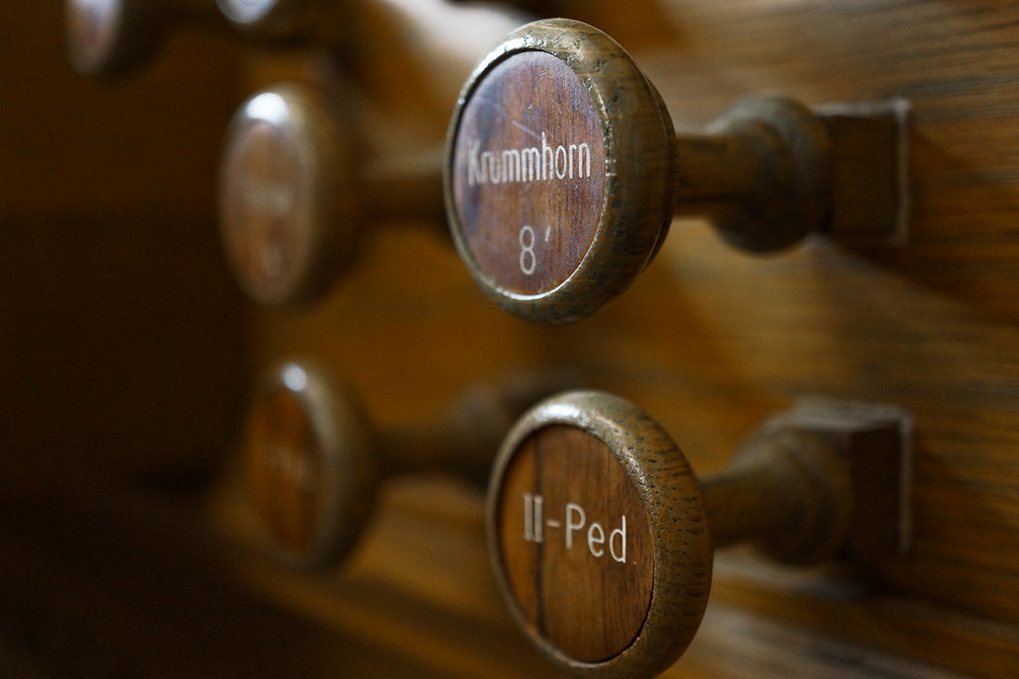 Иллюстрация: Международный Рождественский органный фестиваль «В Доме, где живет Музыка»